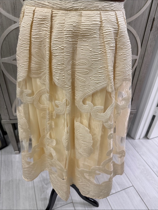 Jealous Tomato Dresses & Skirts - Jealous Tomato Cream Embroidered Midi Skirt